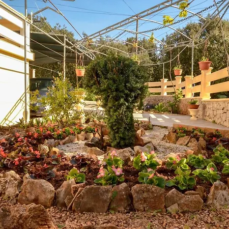 By The Sea Guduce, - 13274 Ugljan